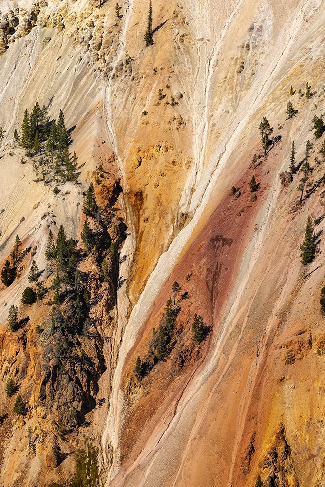 Steep colorful canyon walls of hydrothermally altered rhyolite-Grand Canon of the Yellowstone